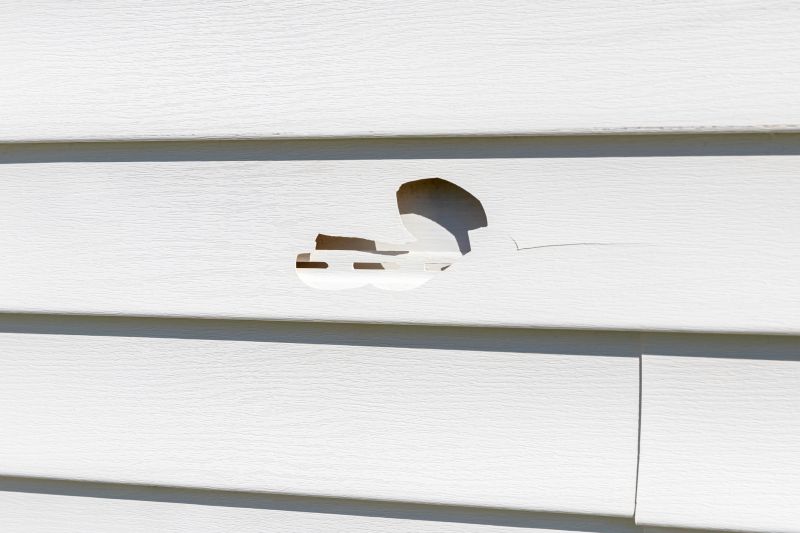 Assessment of Vinyl Siding Damage